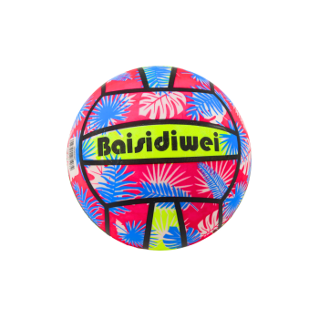 Piłka Gumowa Jaskrawa Liście Różowo Niebieska 24 Cm