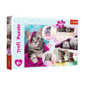 Puzzle 160 el. Urocze kotki Trefl 15371