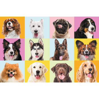 Puzzles - "60" - Słodkie psiaki / Trefl 17374