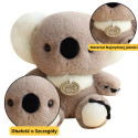 Maskotka Pluszowa Przytulanka Miś Koala Szary 23cm
