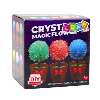 Hodowla Kryształów Magiczne Drzewko Kryształowe Eksperyment Edukacyjny