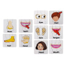Puzzle Edukacyjne Układanka Części Ciała 10 Połączeń  Angielski