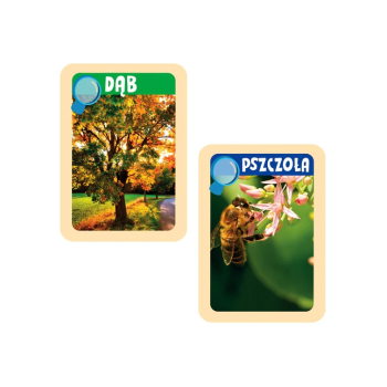 Naukowa Zabawa Odkrywcy Natury Lornetka Przyroda Język Polski Clementoni 50894