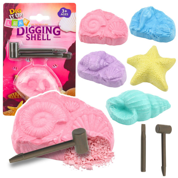 Morski Zestaw Archeologiczny Morskie Skamieniałości Muszle Narzędzia