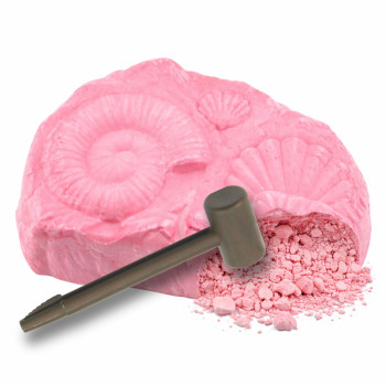 Morski Zestaw Archeologiczny Morskie Skamieniałości Muszle Narzędzia