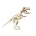 Naukowa Zabawa Skamieniałości Szkielet T-Rex Język Polski Clementoni 50858