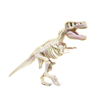 Naukowa Zabawa Skamieniałości Szkielet T-Rex Język Polski Clementoni 50858