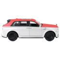 Auto R/C 1:20 Biało-Czerwone Samochód Pilot