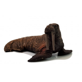 Figurki Edukacyjne Morskie Zwierzęta 8 Elementów Rekiny Foka Delfin Mors Żółw