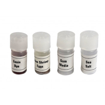 Mikroskop Dziecięcy w Walizce 28 elementów