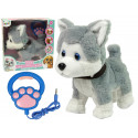 Pluszowy Piesek Husky Interaktywny Edukacyjny Smycz Piosenki Chodzi