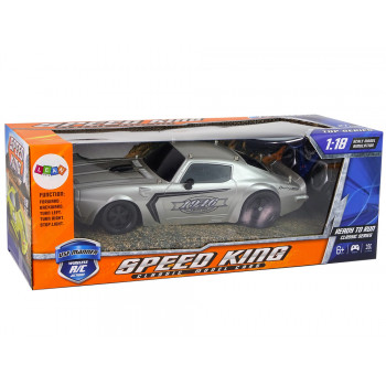 Auto Sportowe R/C 1:18 Srebrne Champion Pilot