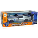 Auto Sportowe R/C 1:16 Srebrne Niebieskie Pasy Pilot