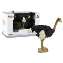 Figurka kolekcjonerska Struś Seria Zwierzęta Świata