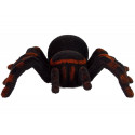 Zdalnie Sterowany Pająk Tarantula Czarny R/C