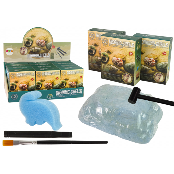 Zestaw Wykopaliska Skorupy Muszle Trzy Modele Niespodzianka