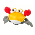 Poruszający się Krab Dźwięk Pomarańczowy
