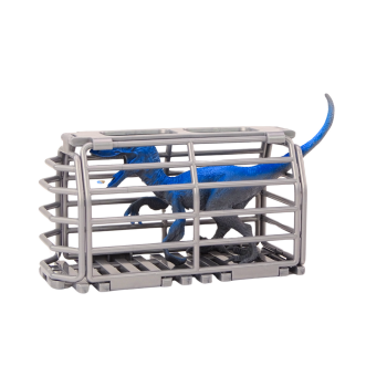 Samolot Awionetka Transport Dinozaurów Klatka Rozkręcany Zielony