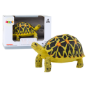Figurka Kolekcjonerska Żółw Gad Żółty Czarny A