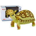 Figurka Kolekcjonerska Żółw Gad  Jansożółty Brązowy B
