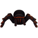 Zdalnie Sterowany Pająk Tarantula Czarny R/C