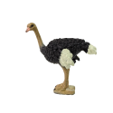 Figurka kolekcjonerska Struś Seria Zwierzęta Świata