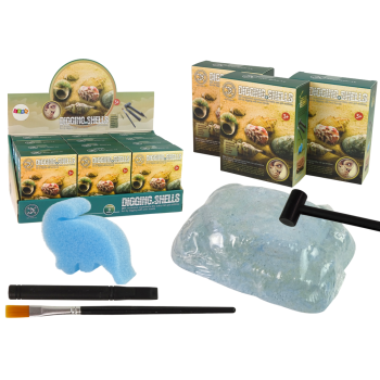 Zestaw Wykopaliska Skorupy Muszle Trzy Modele Niespodzianka