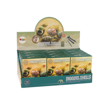 Zestaw Wykopaliska Skorupy Muszle Trzy Modele Niespodzianka