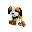 Interaktywny Piesek Bernardyn Na Smyczy + Buda