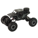 Pojazd RC Rover 1:16 Auto Czarne Zdalnie Sterowane Na Pilot
