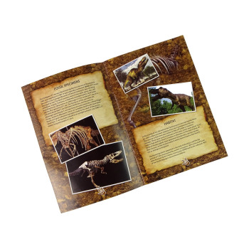 Zestaw Edukacyjny Wykopaliska Dinozaur Tyranozaur