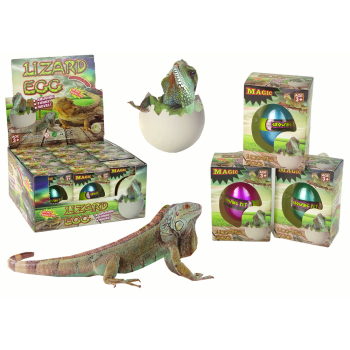 Wykluwające się Magiczne Jajko Jaszczurka Rosnące 6 cm