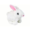 Chodzący Króliczek Zabawka Interaktywna Krótka Sierść Biały