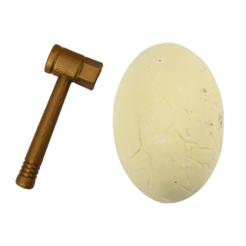 Zestaw Archeologa Jajo Dinozaura Wykopaliska Skamieniałości Narzędzia