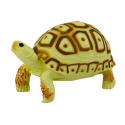 Figurka Kolekcjonerska Żółw Gad  Jansożółty Brązowy B