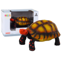 Figurka Kolekcjonerska Żółw Gad Brązowo Czarny C